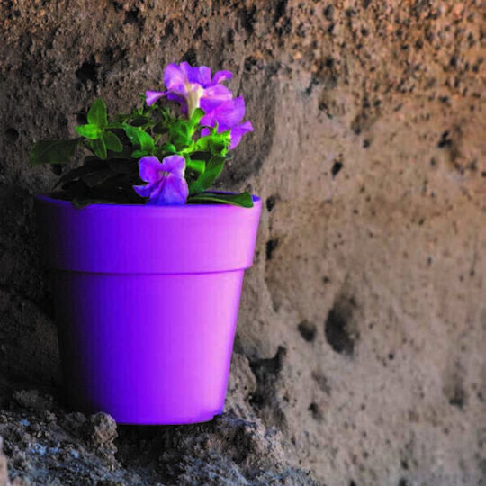 Homestyle Pot Plastic COLORIST