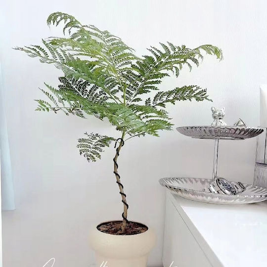 Artificial Plant in Pot Mimosa 110cm