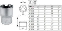 Torx Cap 1/2" E11