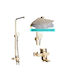 304 Stainless Steel Shower Faucet Set Adjustable Height Contemporary Design Brushed Golden