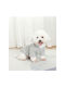 Animal Strickpullover Hund in Gray Farbe 45cm.
