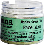 Matcha-Tee-Detox-Maske 50ml