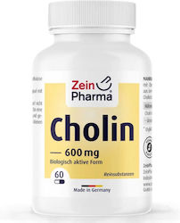 Zein Pharma Холин 600 Мг 60 Капсули Zein Pharma Холин 600 Мг 60 Капсули