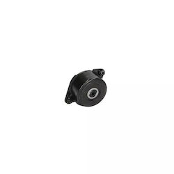 Tensionator curea Bmw 5 E39 Dayco Apv2535