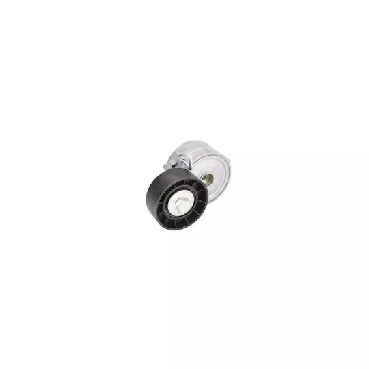 Belt Tensioner Citroen C8 Ea Eb Dayco Apv2424