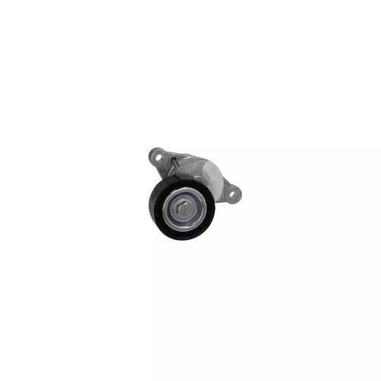 Belt Tensioner Citroen C3 Picasso Dayco Apv3190