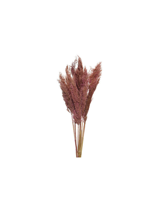 Jardi Τεχν.κλαδι Φυσικο Λοφιο Φ5x10x75(h)cm - Σκ.ροζ