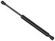 Amortizor Geam Spate Renault Laguna II Grandtour KG0 1 Stabilus 352798