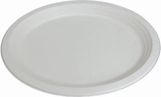 Oval Sugarcane Platter White 32x25cm Pack of 50 Tefaco 516274