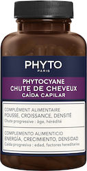 Phyto Phytocyane Blätter 84 Kapseln Phyto Phytocyane Blätter 84 Kapseln