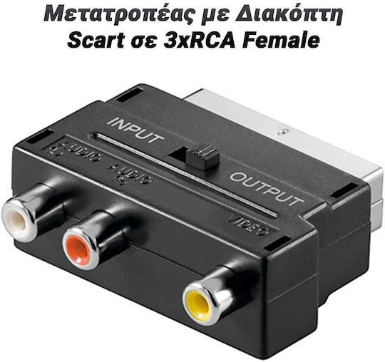 Scart Male to RCA Female Converter 1 Piece 0824.066