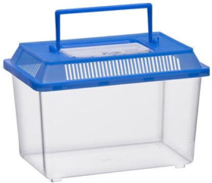 Fish Aquarium Capacity 1.8lt with 13.5x21x13.5cm Blue