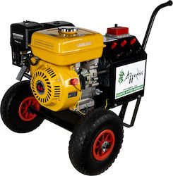 Generator für Olivenernter 70A+ Motor Angelis 7PS Euro5 Einstellung Generator für Olivenernter 70A+ Motor Angelis 7PS Euro5 Einstellung