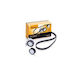 Set Antriebsriemen Ford Escort Classic Turnier Anl Contitech 6pk1555k3