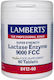 Lamberts 350mg 60 tabs