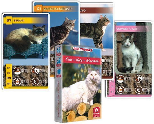 Joc de Societate Cat Quartet pentru 2-4 Jucători 3+ Ani Cartamundi