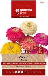 Zinnia Double Giant Mix 12562