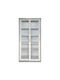 Zweiflügeliger Schrank Metallisch mit 4 Regale 85x40x180cm