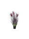 Jardi Τεχνητο Φυτο Pampas Φ25x60cm - Μωβ