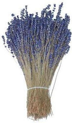 Lavender Bunch Price per Kilo