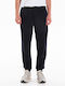 Sweatpants with Elastic Navy Blue