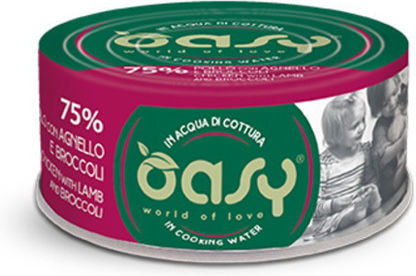 Oasy Wet Cat Food More Love Adult Chicken Lamb & Broccoli 70gr