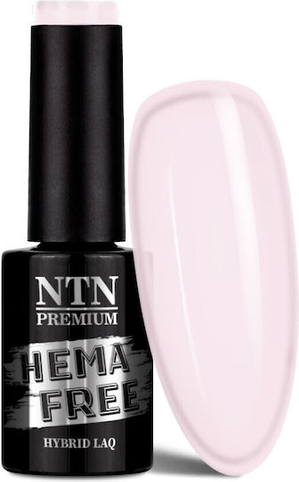 NTN Premium Halb-permanenter Nagellack 302 5gr 1Stück