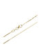 Gold Chain Neck 14K