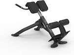 MegaFitness Workout Bench Dorsal