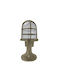 Andromeda Outdoor Floor Lamp Lantern for Exterior Space 150W IP64 for E27 Socket Bronze