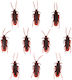 Party Pal Plastic Cockroaches Decorations for Party Halloween in Brown color 10pcs 3cm 136706