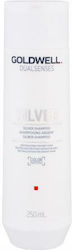 Goldwell Dualsenses Silver Reconstruction/Nouri...