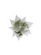 Christmas Poinsettia Flower Velvet Green Light White 28x16cm 306.035.0036.09