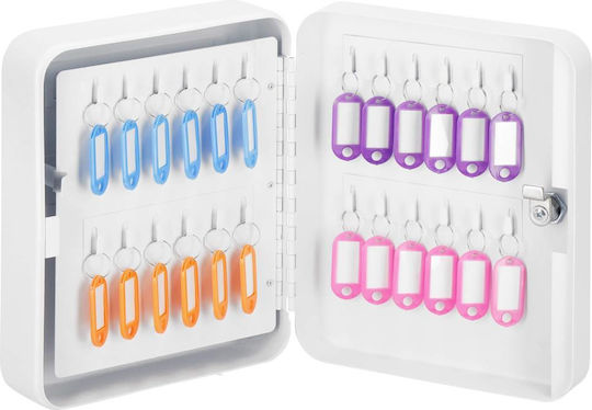 Metallic 20 Hooks With Lock 25x20x7.5cm