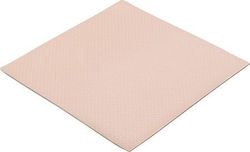 Thermal Grizzly Pad Minus Pad 8 10x10x3.0 1pc Roz