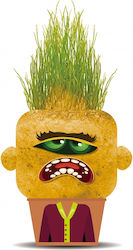 Hape Plant Pals -moody Mary