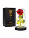 Ewige Rose Rot 21cm mit LED Korbi