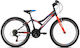 Capriolo 24" Kids Mountain Bike (2024) Gray