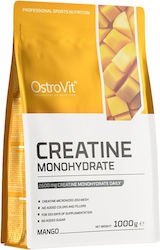 Ostrovit Pure Creatine Monohydrate Powder 1000 Γραμμάρια Μάνγκο Ostrovit Pure Creatine Monohydrate Powder 1000 Γραμμάρια Μάνγκο