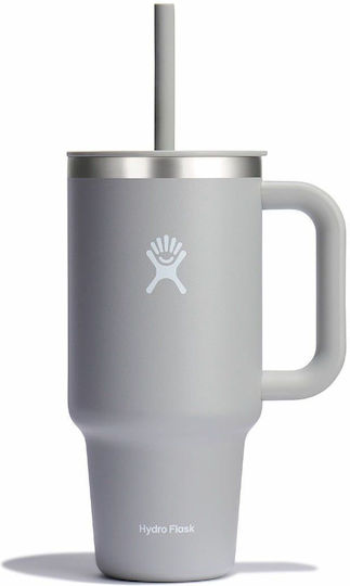 Hydro Flask Stainless Steel Thermos Bottle BPA Free 946ml Birch with Handle and Straw