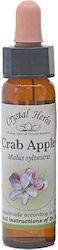 Crystal Herbs Αγριομηλιά (crab Apple)