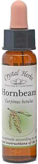 Crystal Herbs Καρπίνος (hornbeam) Ανθοΐαμα 10ml 1τμχ