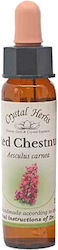 Crystal Herbs Κόκκινη Αγριοκαστανιά (red Chestnut) Ανθοΐαμα 10ml