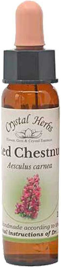 Crystal Herbs Κόκκινη Αγριοκαστανιά (red Chestnut) Ανθοΐαμα 10ml 1τμχ