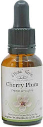 Crystal Herbs Δαμασκηνιά (cherry Plum) Ανθοΐαμα
