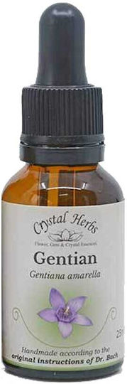 Crystal Herbs Γεντιανή (gentian) Esență Florală 25ml 1buc