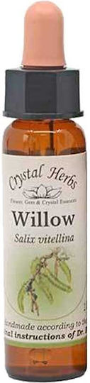 Crystal Herbs Върба (willow) Антоесенция 10мл 1бр