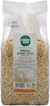 Ola Bio Flakes Oats 1000gr