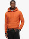 D2 Ovin Sweatshirt mit Kapuze Orange
