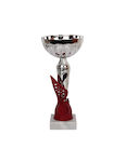 Tryumf Silver Trophy Sports